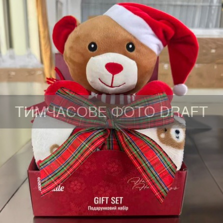 Набір ARDESTO Christmas Bear 2 предмети: плед 90х75см, декор. іграшка 24см, 100% поліестер, коричневий (ART0231TB)