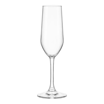 Набір келихів для шампанського Bormioli Rocco Riserva Champagne, 205мл, h224мм, 6шт, скло, прозорий (126281GRC021990)