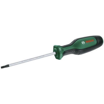 Викрутка Bosch Torx TX20x100мм (1.600.A03.DT4)
