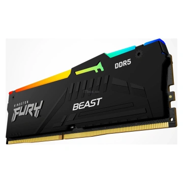 Пам'ять ПК Kingston DDR5 32GB 5600 FURY Beast RGB EXPO (KF556C36BBEA-32)