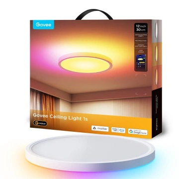 Потолочний світильник Govee 12" Smart Ceiling Light, RGBWW + RGBIC, WI-FI/Bluetooth, білий (H80A1C01)