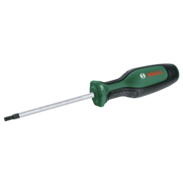 Викрутка Bosch Torx TX25x100мм (1.600.A03.DT5)