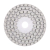 Круги алмазні полірувальні Круг 100x3x15 CleanPad #0 (87015424056)