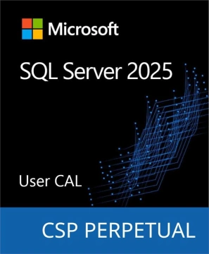 Програмний продукт Microsoft SQL Server 2025 - 1 User CAL (DG7GMGF0VNHV-0002)