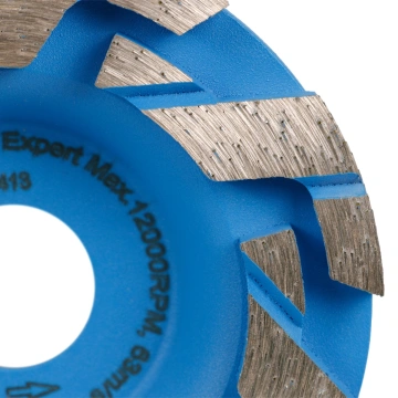 Фреза алмазна DGS-S 100/22,23-7 Bestseller Expert (11115546011)